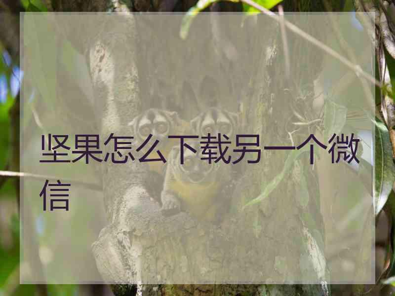 坚果怎么下载另一个微信