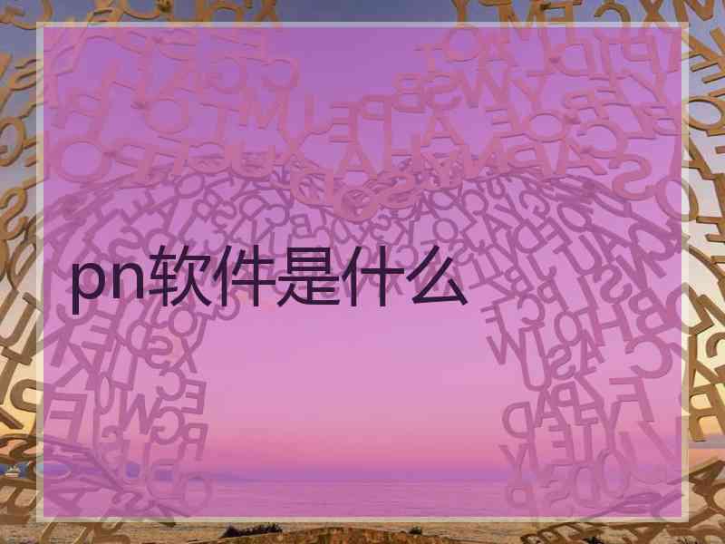 pn软件是什么