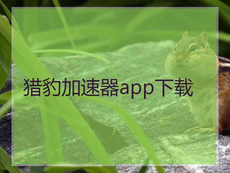 猎豹加速器app下载