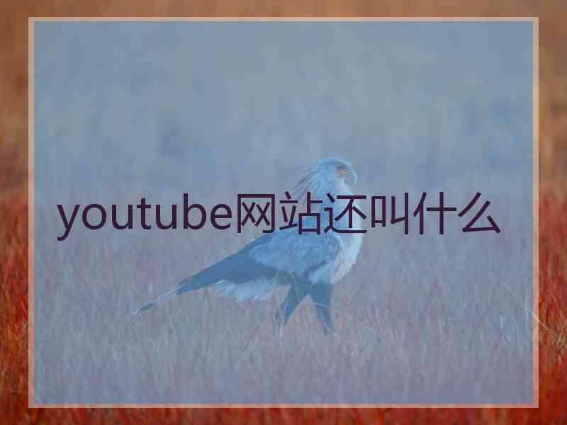 youtube网站还叫什么