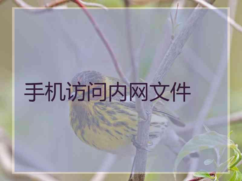 手机访问内网文件