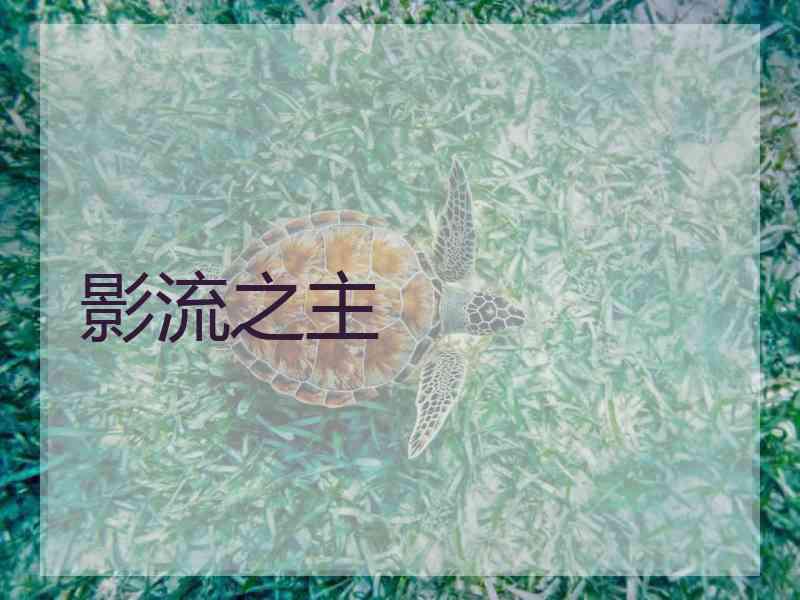 影流之主