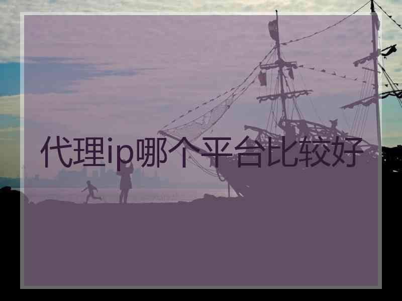 代理ip哪个平台比较好