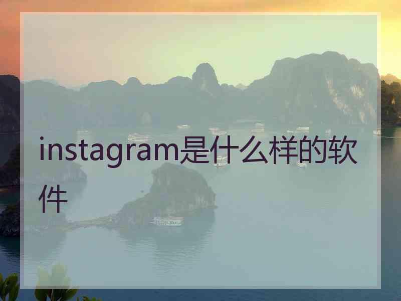 instagram是什么样的软件