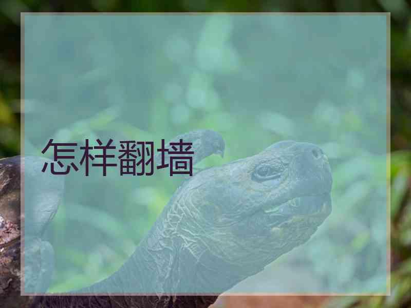 怎样翻墙