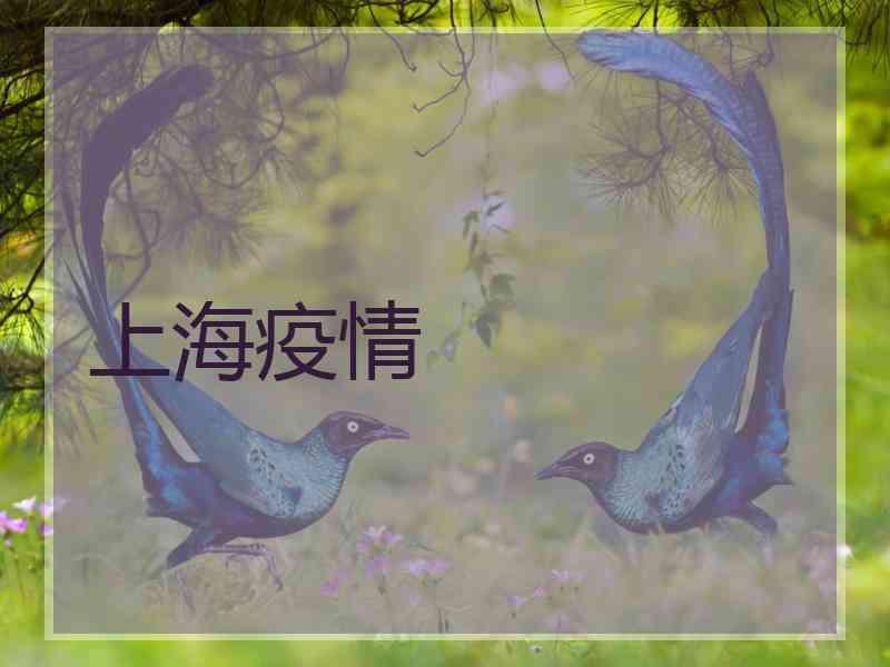上海疫情