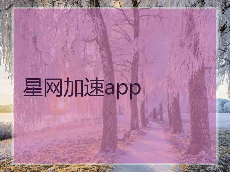 星网加速app