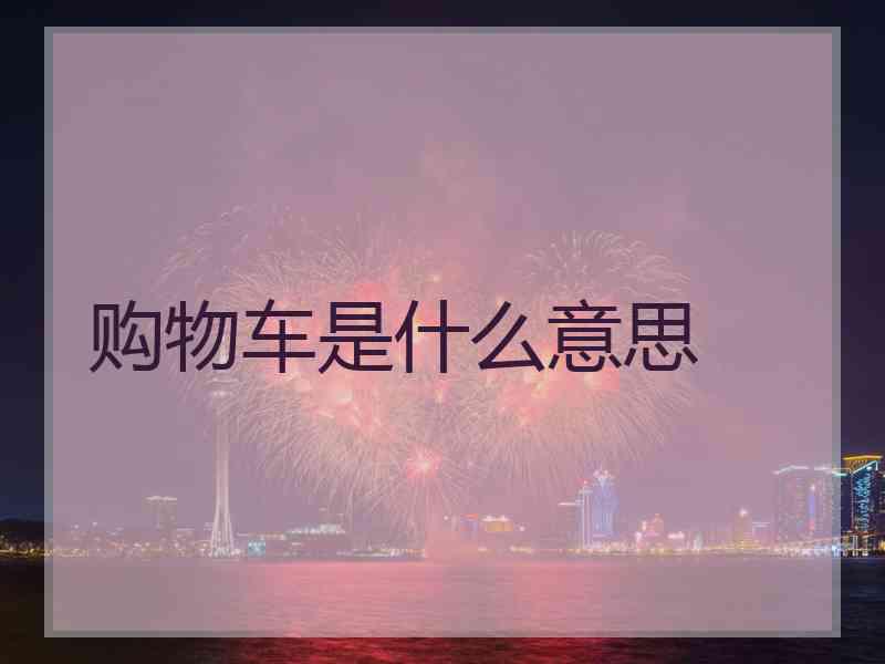 购物车是什么意思
