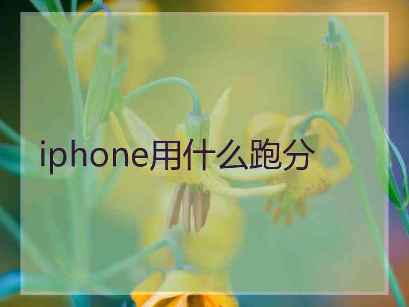 iphone用什么跑分