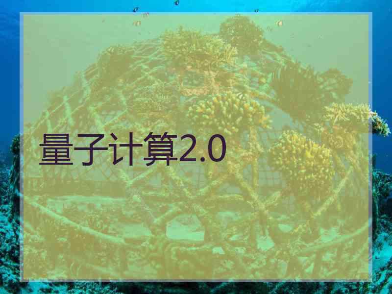 量子计算2.0