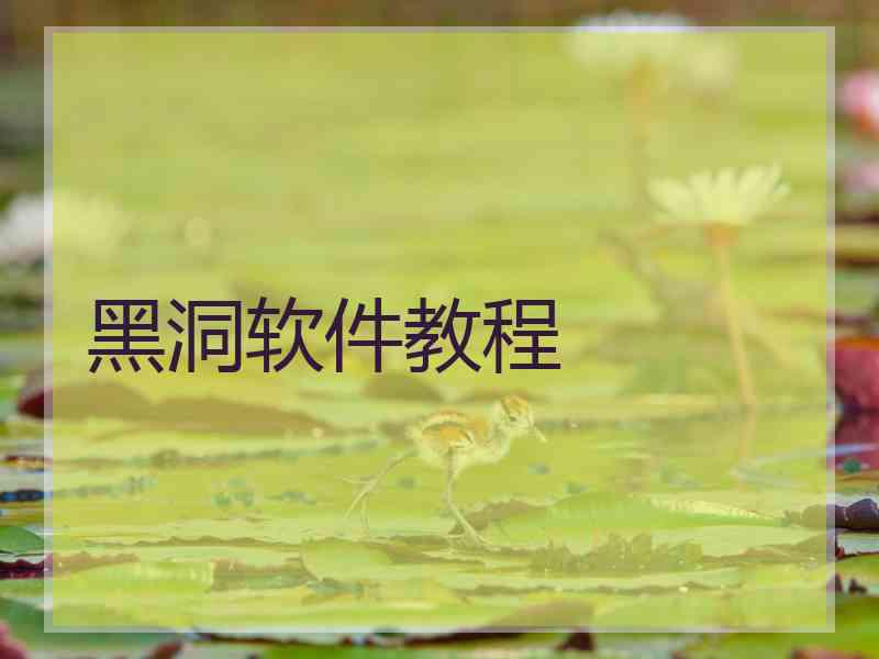 黑洞软件教程