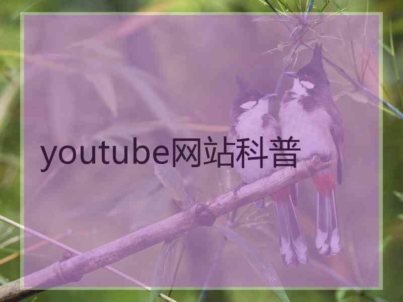 youtube网站科普
