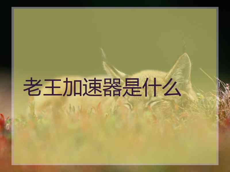 老王加速器是什么