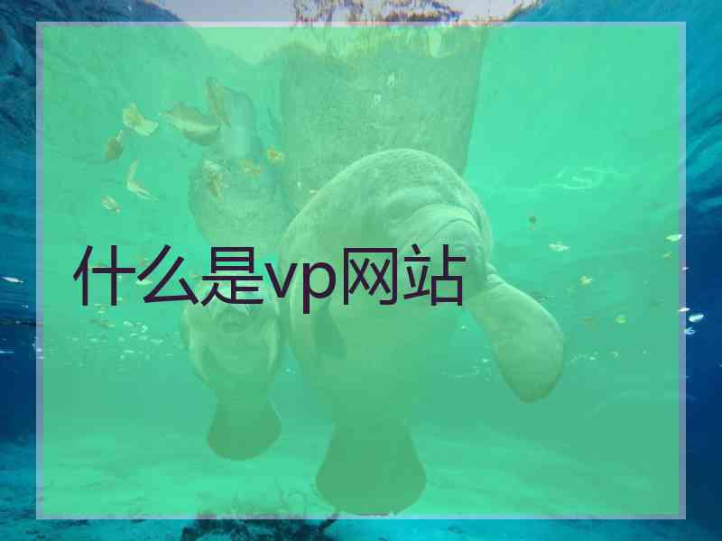 什么是vp网站