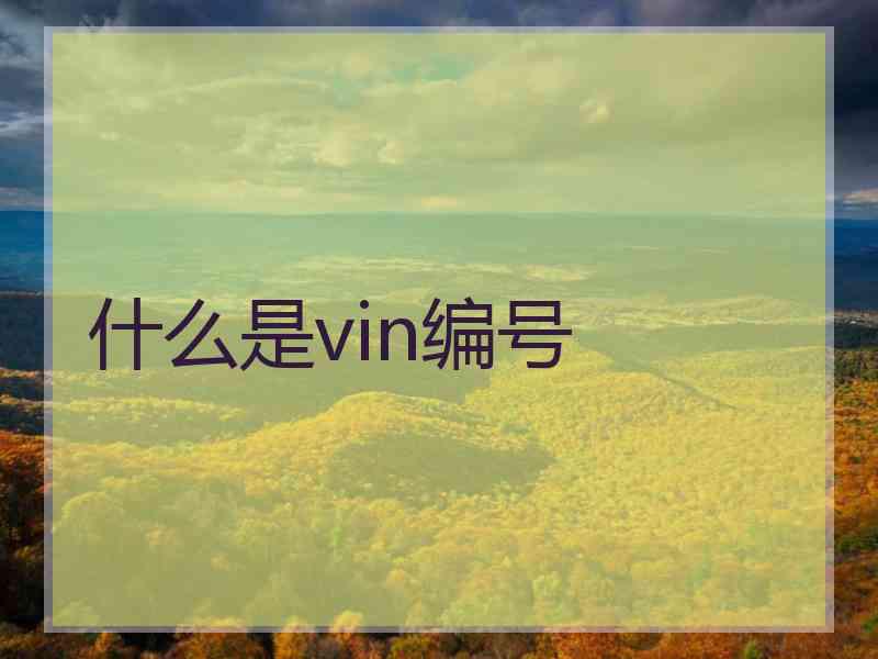 什么是vin编号