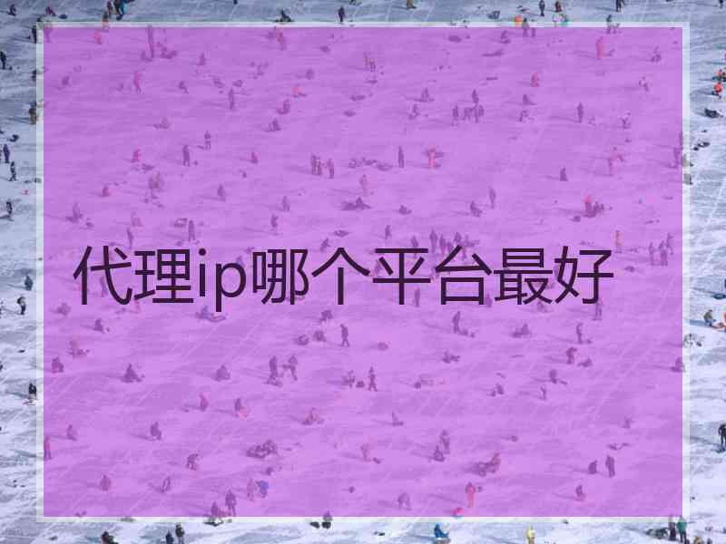 代理ip哪个平台最好