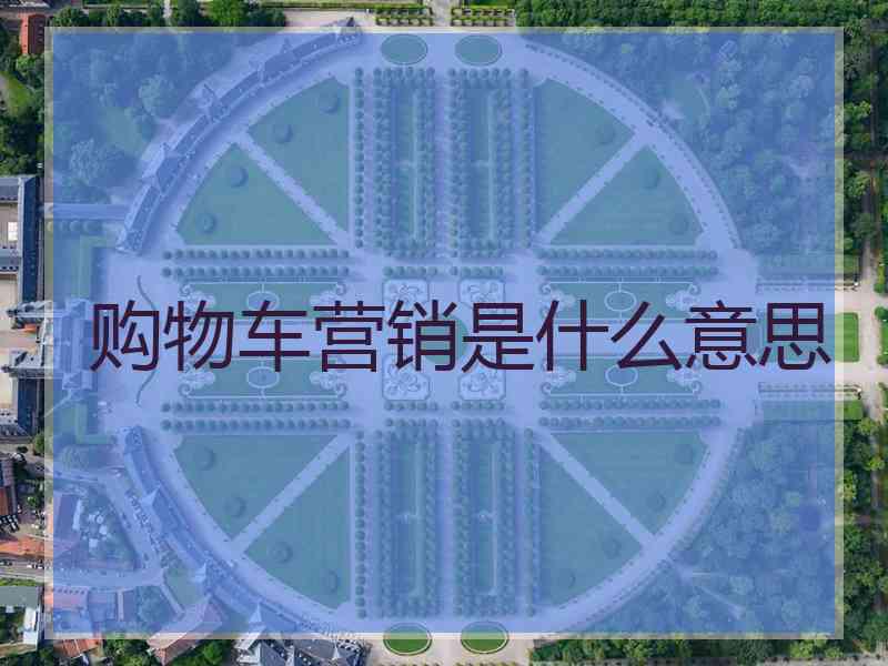 购物车营销是什么意思