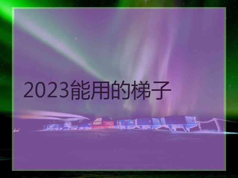 2023能用的梯子